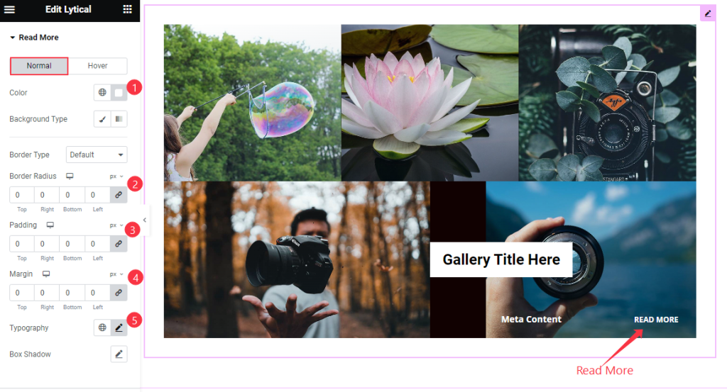 How to use Lytical Widget by Pixel Gallery 12 Read More 6 - BdThemes