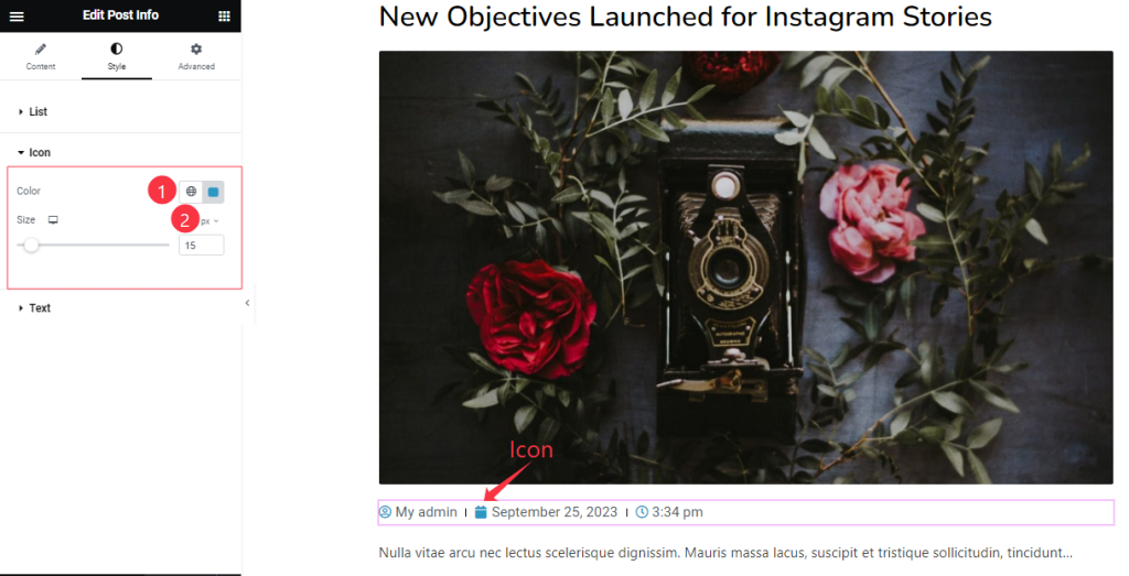How To Use Post Info Widget By Ultimate Post Kit Pro 7 Style The Icon Section