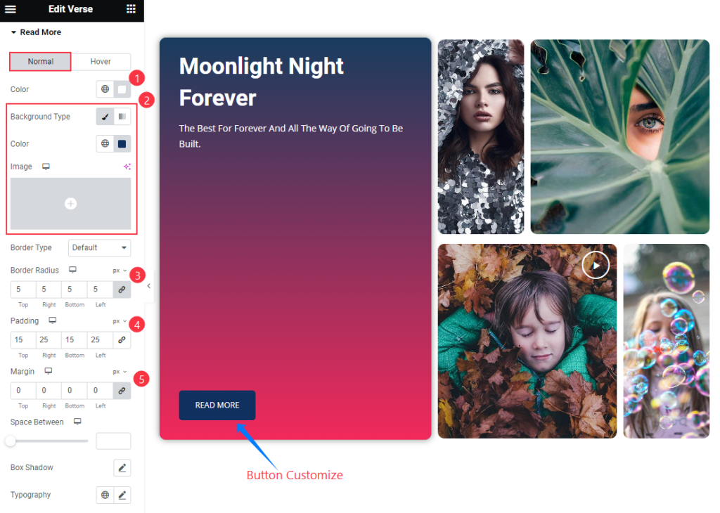 How to use Verse widget by Pixel Gallery 15 Read More 2 - BdThemes